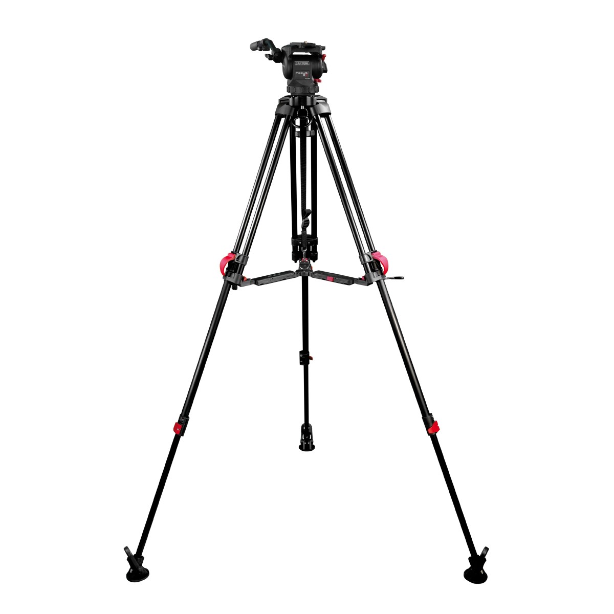 Focus 8