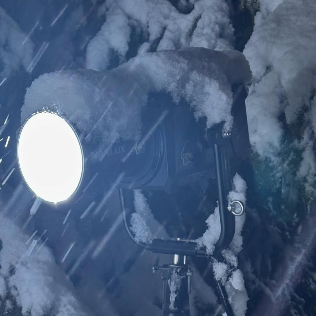 Beam seems to have gotten used to the snow