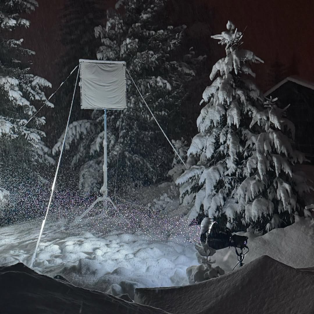 Beam seems to have gotten used to the snow