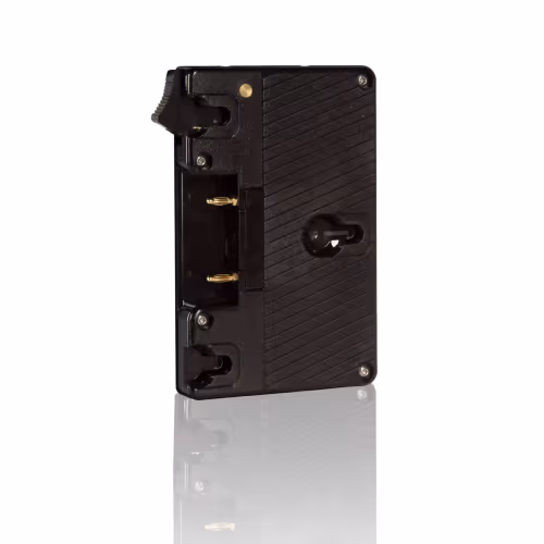 Shape - Gold mount lock plate